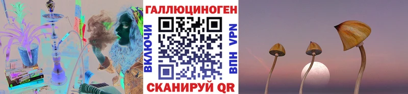 сайты даркнета клад  Казань  Галлюциногенные грибы прущие грибы  хочу  